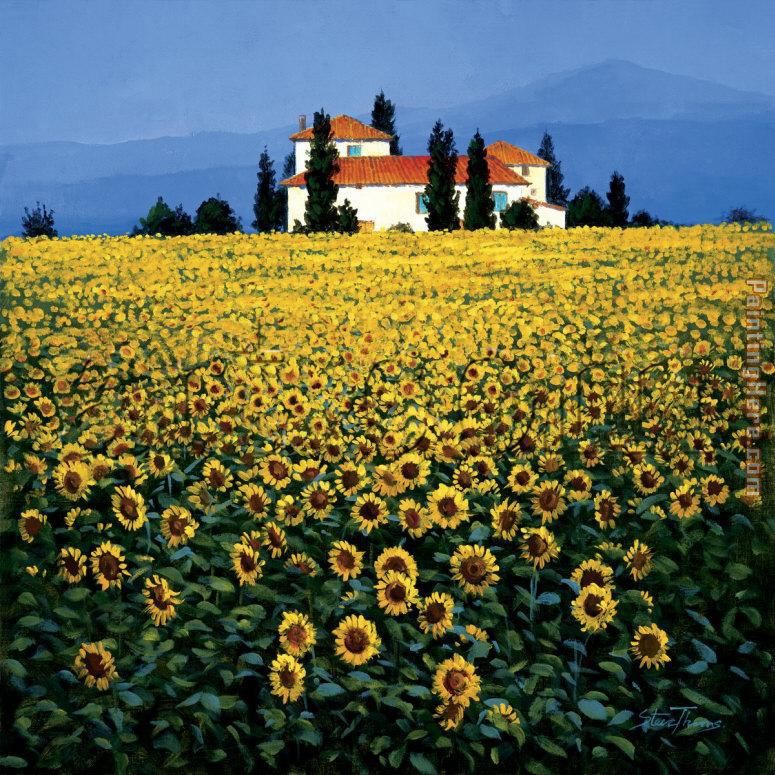 Steve Thoms Sunflower Field